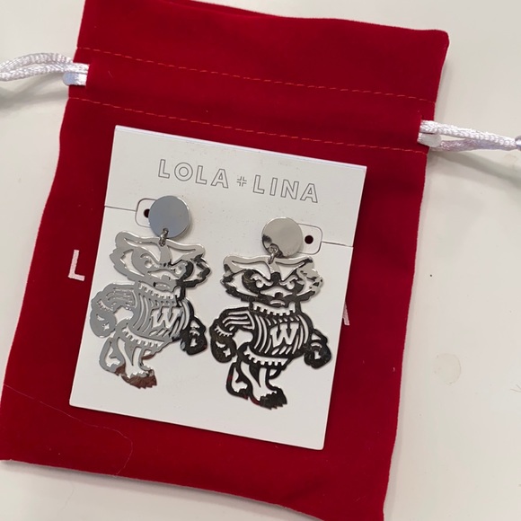 Jewelry - Silver Bucky badger earrings
